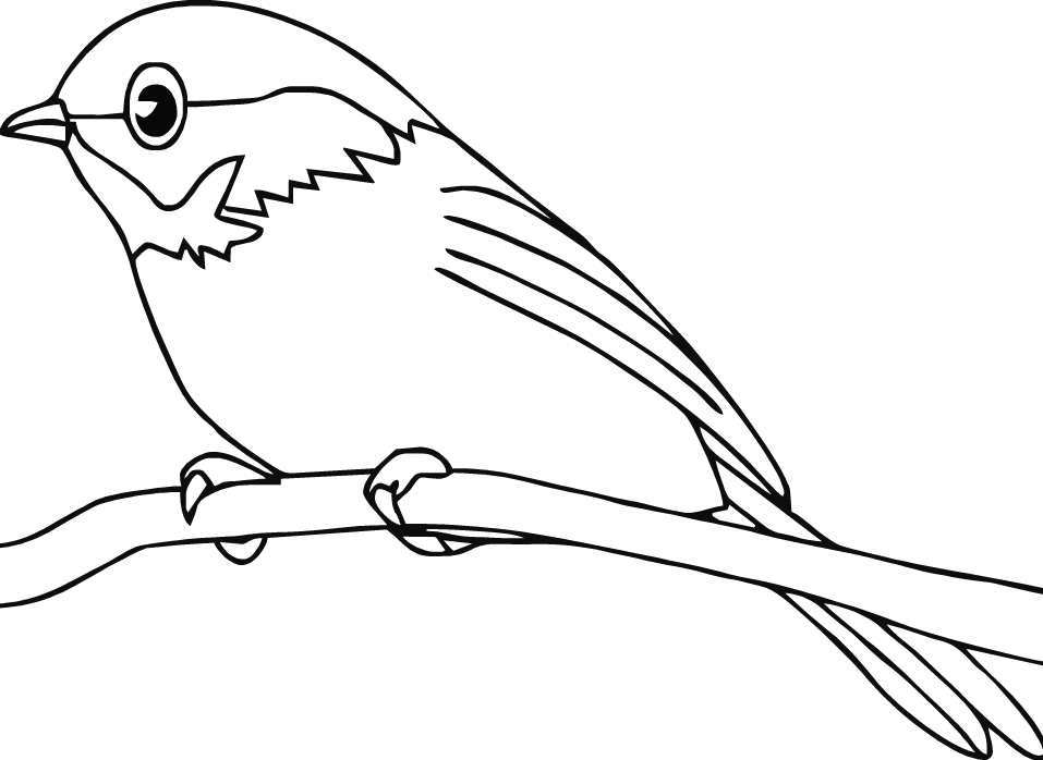Robin Coloring Pages at GetColorings.com | Free printable colorings
