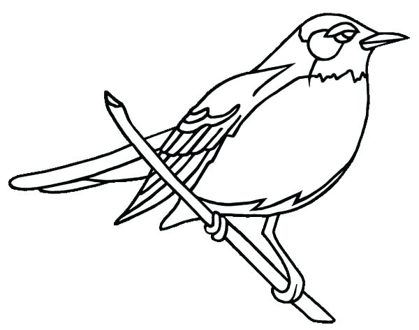 Robin Coloring Pages at GetColorings.com | Free printable colorings