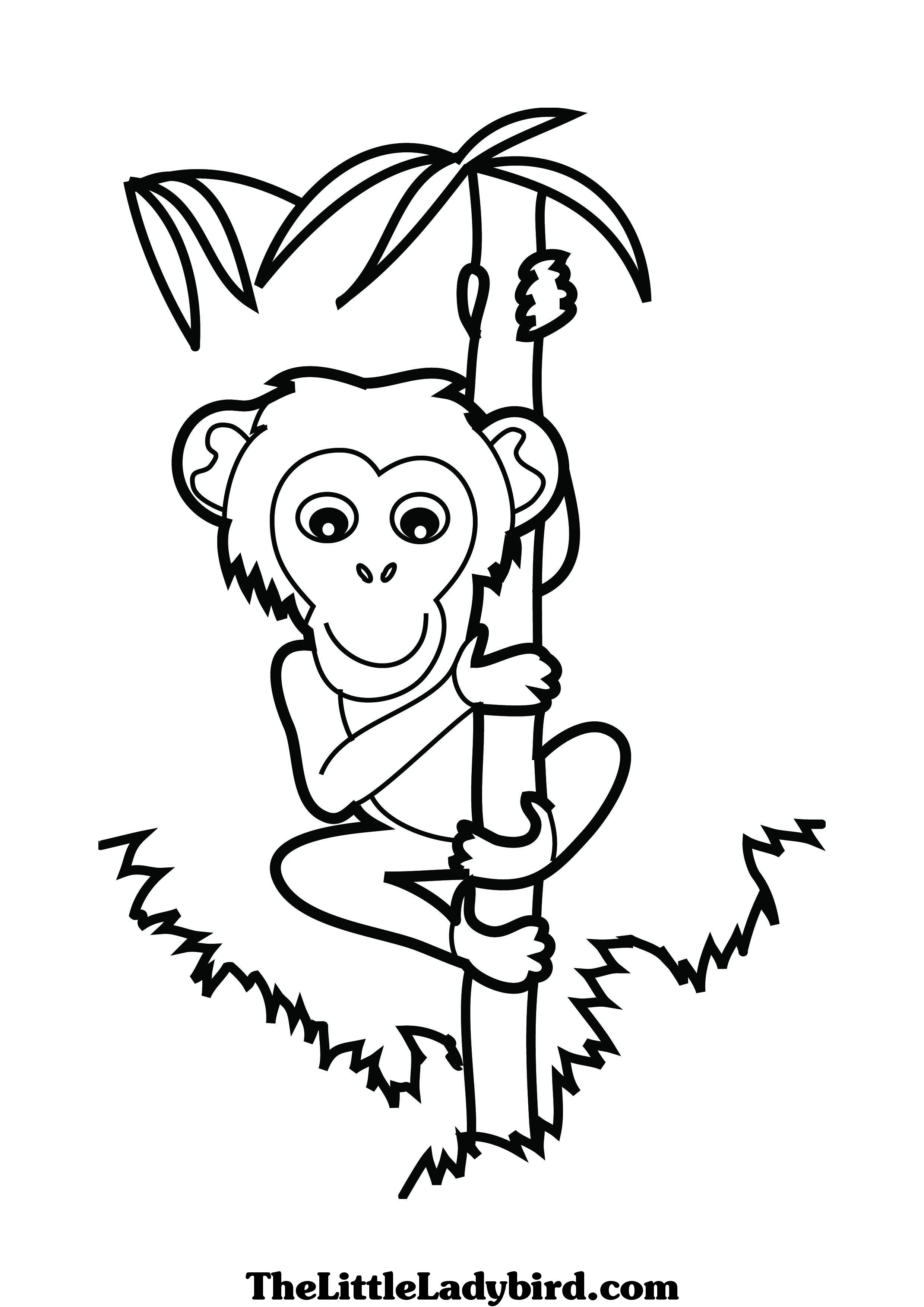 Mountain Lion Coloring Page