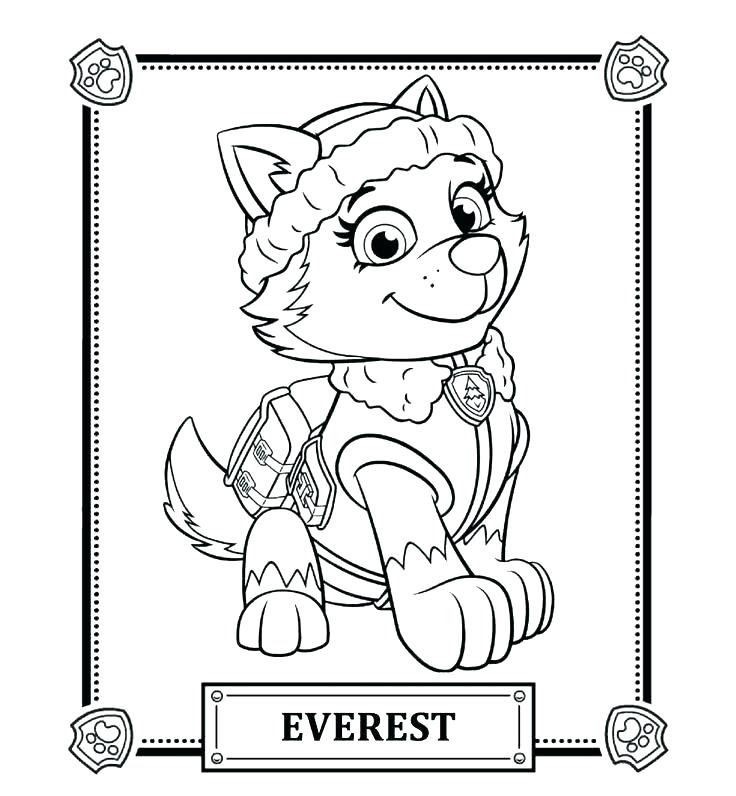 Rocky Paw Patrol Coloring Page at Free printable