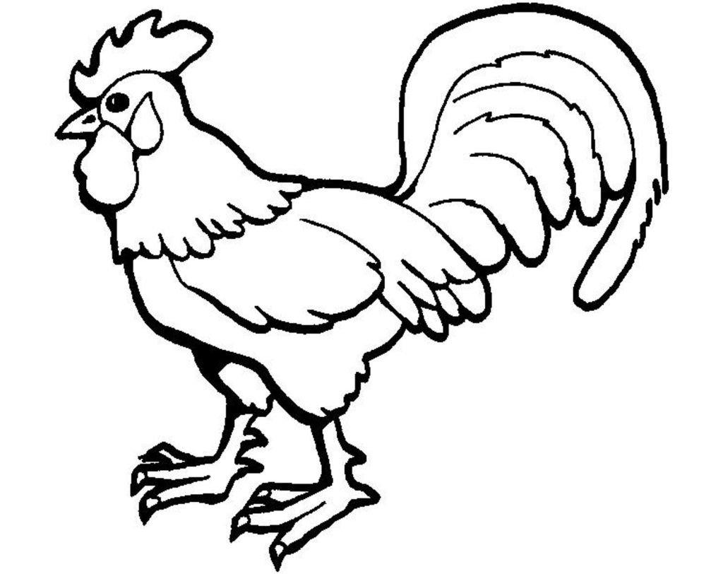435 Cartoon Rooster Coloring Page for Kids