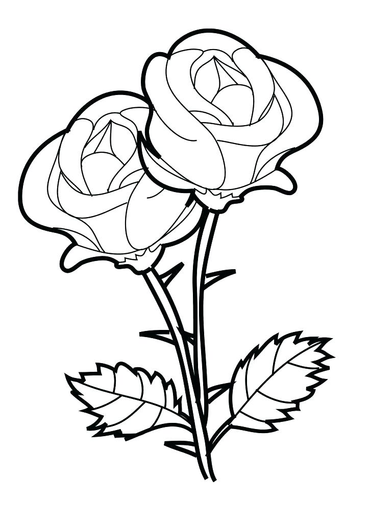 Rose Garden Coloring Pages at GetColorings.com | Free ...