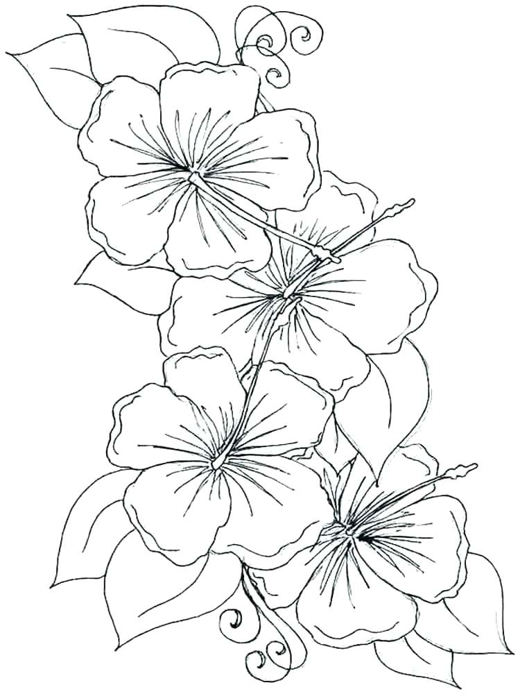 Rose Petal Coloring Pages at GetColorings.com | Free printable