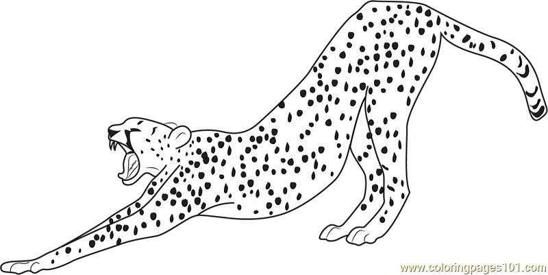 Running Cheetah Coloring Pages at GetColoringscom Free