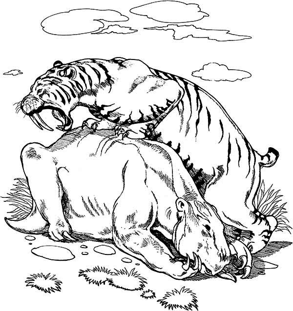 Search results for Tiger coloring pages on GetColorings.com | Free