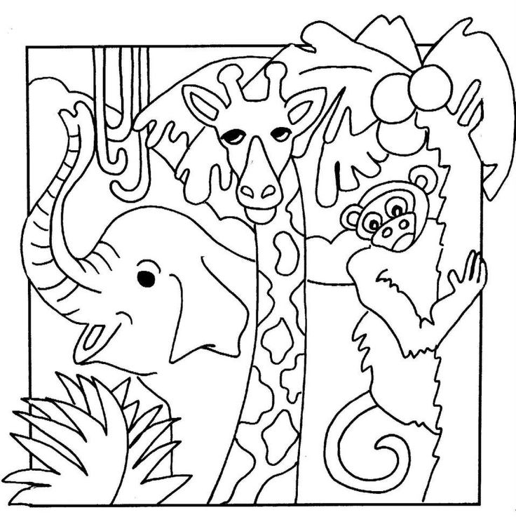 Safari Animals Coloring Pages At GetColorings Free Printable 