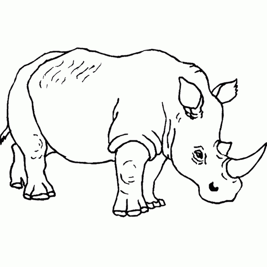 safari-animals-coloring-pages-at-getcolorings-free-printable