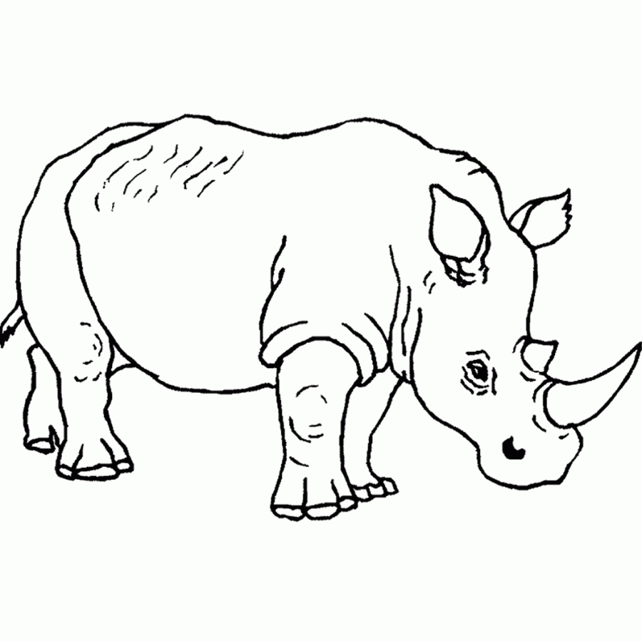 Safari Animals Coloring Pages At GetColorings Free Printable