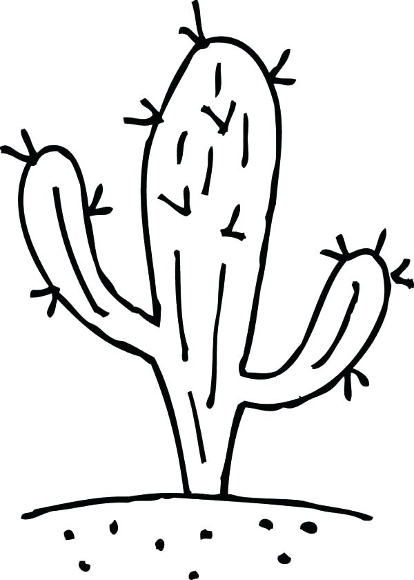 Saguaro Cactus Coloring Page at GetColoringscom Free
