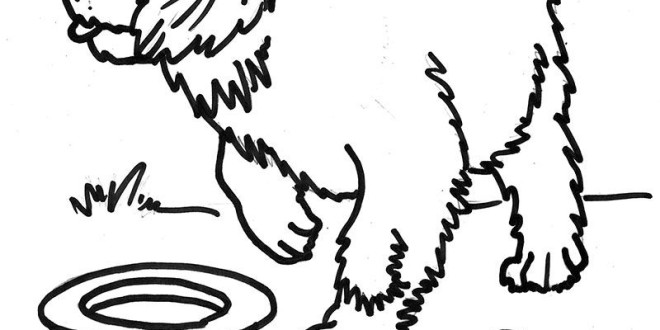 Saint Bernard Coloring Pages at GetColorings.com | Free printable