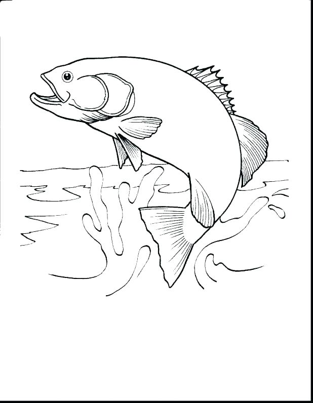 Saltwater Fish Coloring Pages at GetColorings.com | Free ...