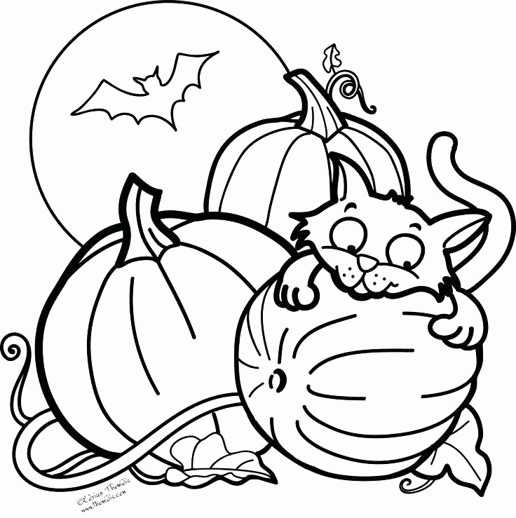 Scary Black Cat Coloring Pages at GetColorings.com | Free printable