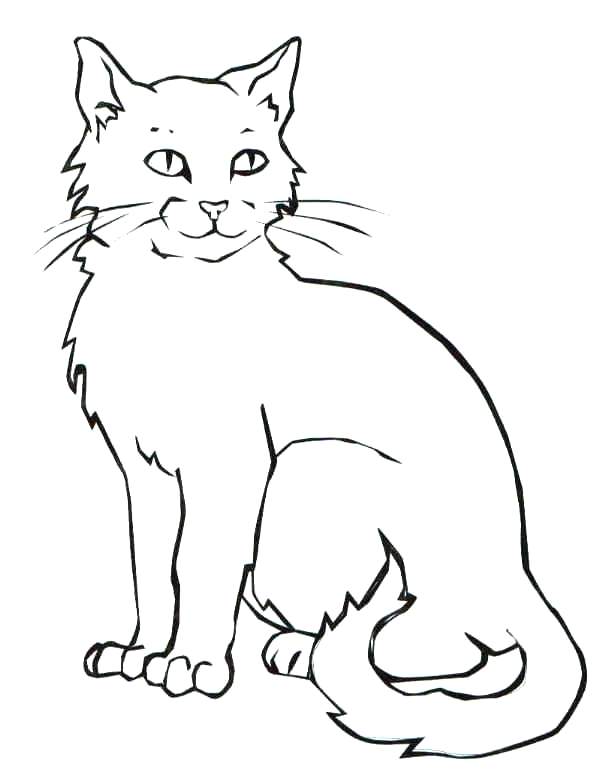 scary-black-cat-coloring-pages-at-getcolorings-free-printable