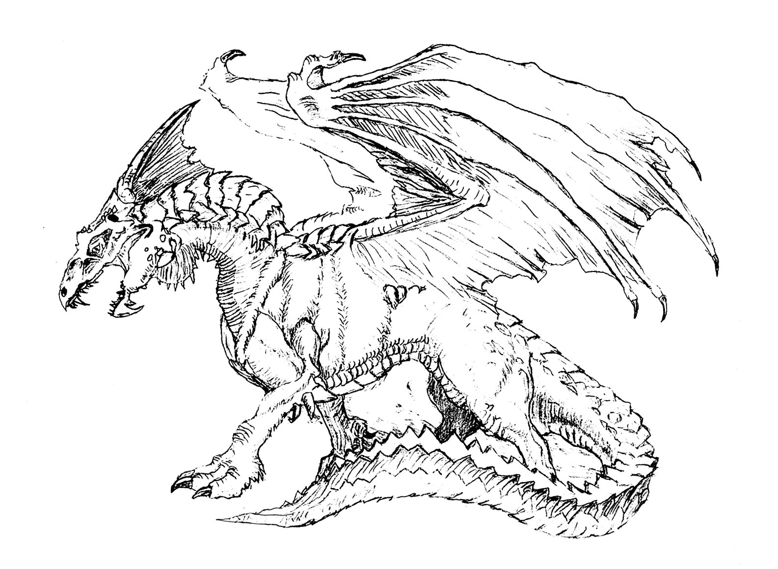 Scary Dragon Coloring Pages At GetColorings Free Printable 