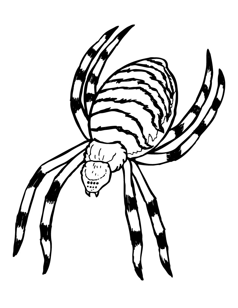 Ghost Spider Coloring Page Coloring Pages