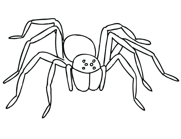 Scary Spider Coloring Pages at GetColorings.com | Free printable