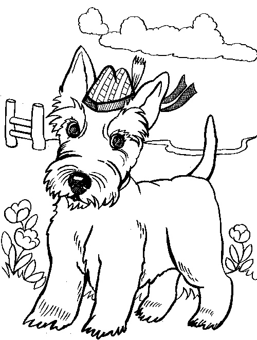 scotland-coloring-pages-at-getcolorings-free-printable-colorings