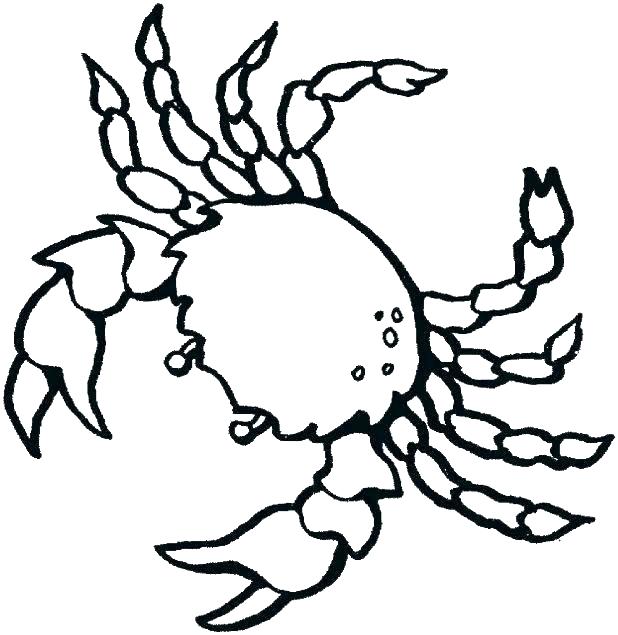 Sea Creatures Coloring Pages at GetColorings.com | Free printable