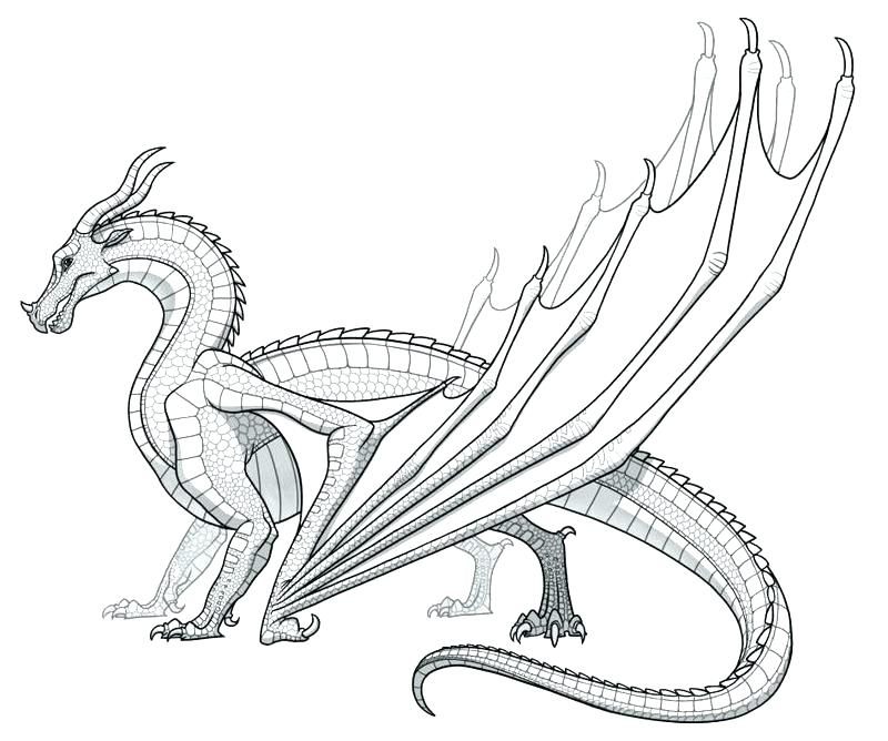 Sea Dragon Coloring Pages at GetColorings.com | Free printable