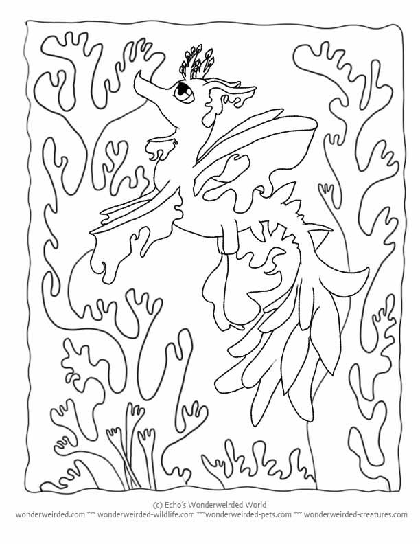 Sea Dragon Coloring Pages At Getcolorings Com Free Printable