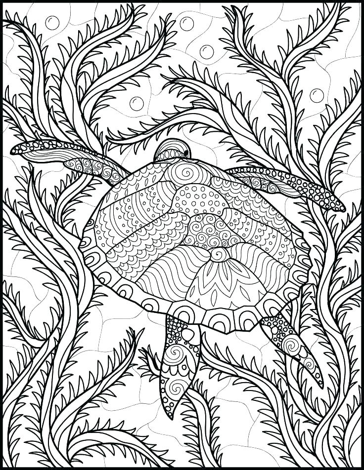 Sea Life Coloring Pages at GetColorings.com | Free printable colorings