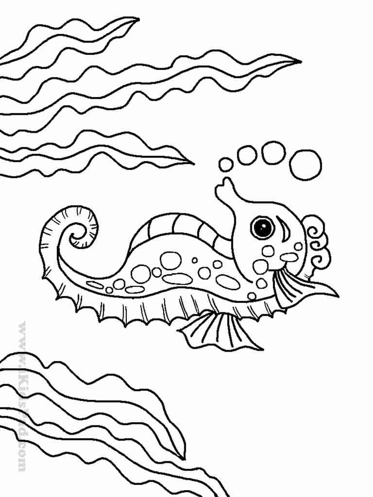 Sea Life Coloring Pages For Adults at GetColorings.com | Free printable