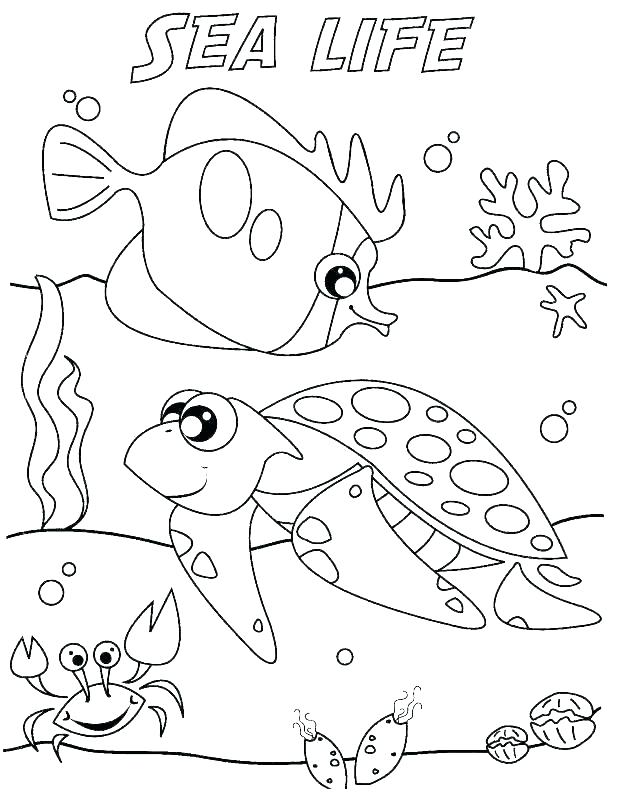 Sea Life Coloring Pages For Adults at GetColorings.com | Free printable