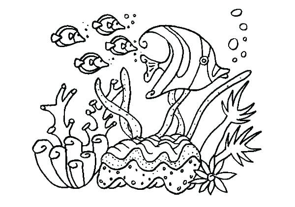 Sea Life Coloring Pages For Preschool at GetColoringscom
