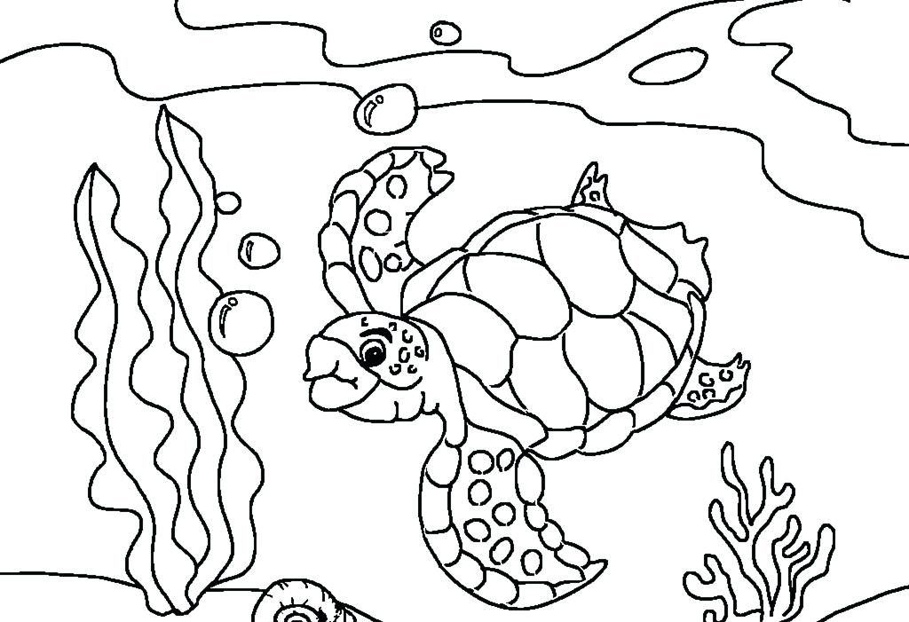 Sea Plants Coloring Pages at GetColorings.com | Free ...