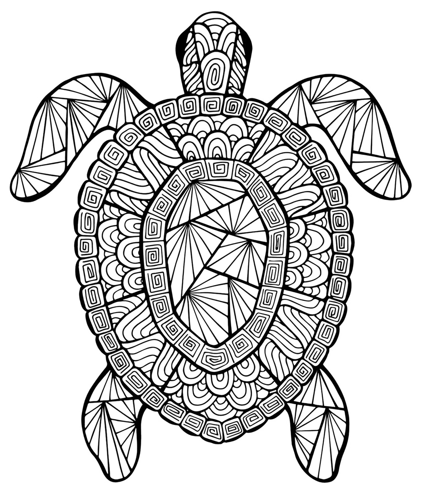 Sea Turtle Coloring Pages For Adults at GetColorings.com ...