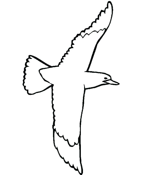 Seagull Coloring Page at GetColorings.com | Free printable colorings