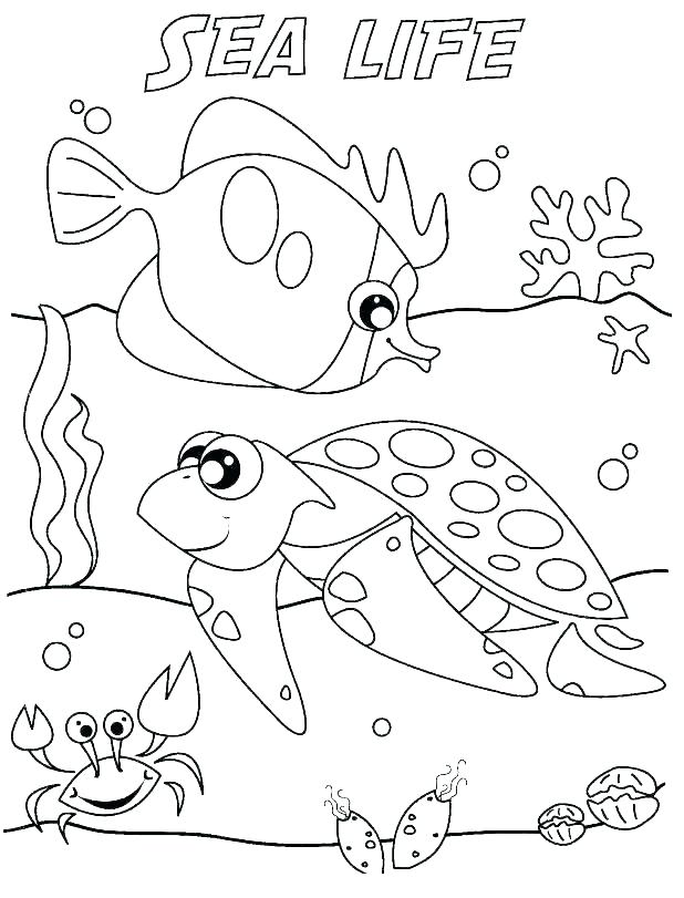 seascape-coloring-pages-at-getcolorings-free-printable-colorings-pages-to-print-and-color