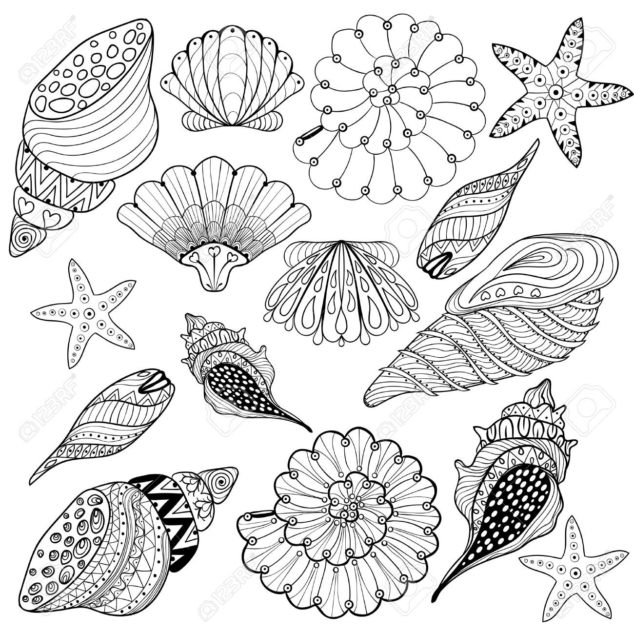 Seashell Coloring Page at GetColorings com Free printable colorings
