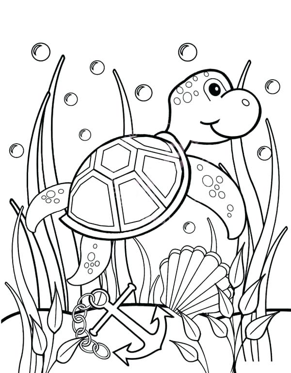 Seaweed Coloring Pages at GetColorings.com | Free printable colorings