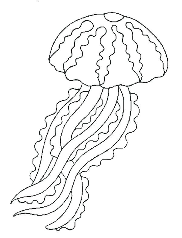 Seaweed Printable Printable Word Searches