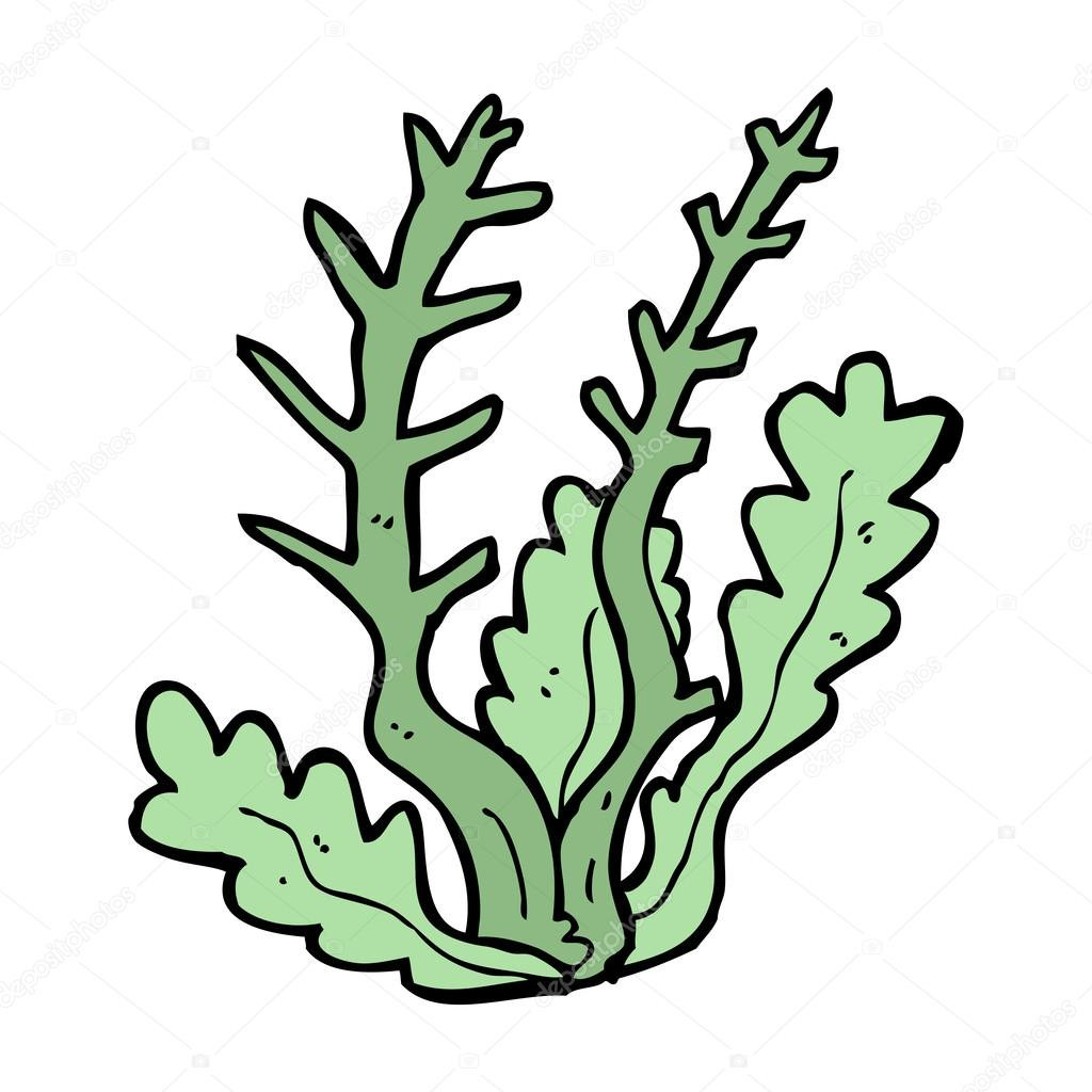 seaweed-coloring-pages-at-getcolorings-free-printable-colorings