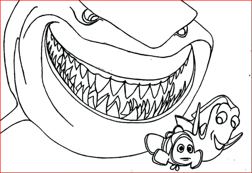 shark-coloring-pages-for-kids-at-getcolorings-free-printable-colorings-pages-to-print-and