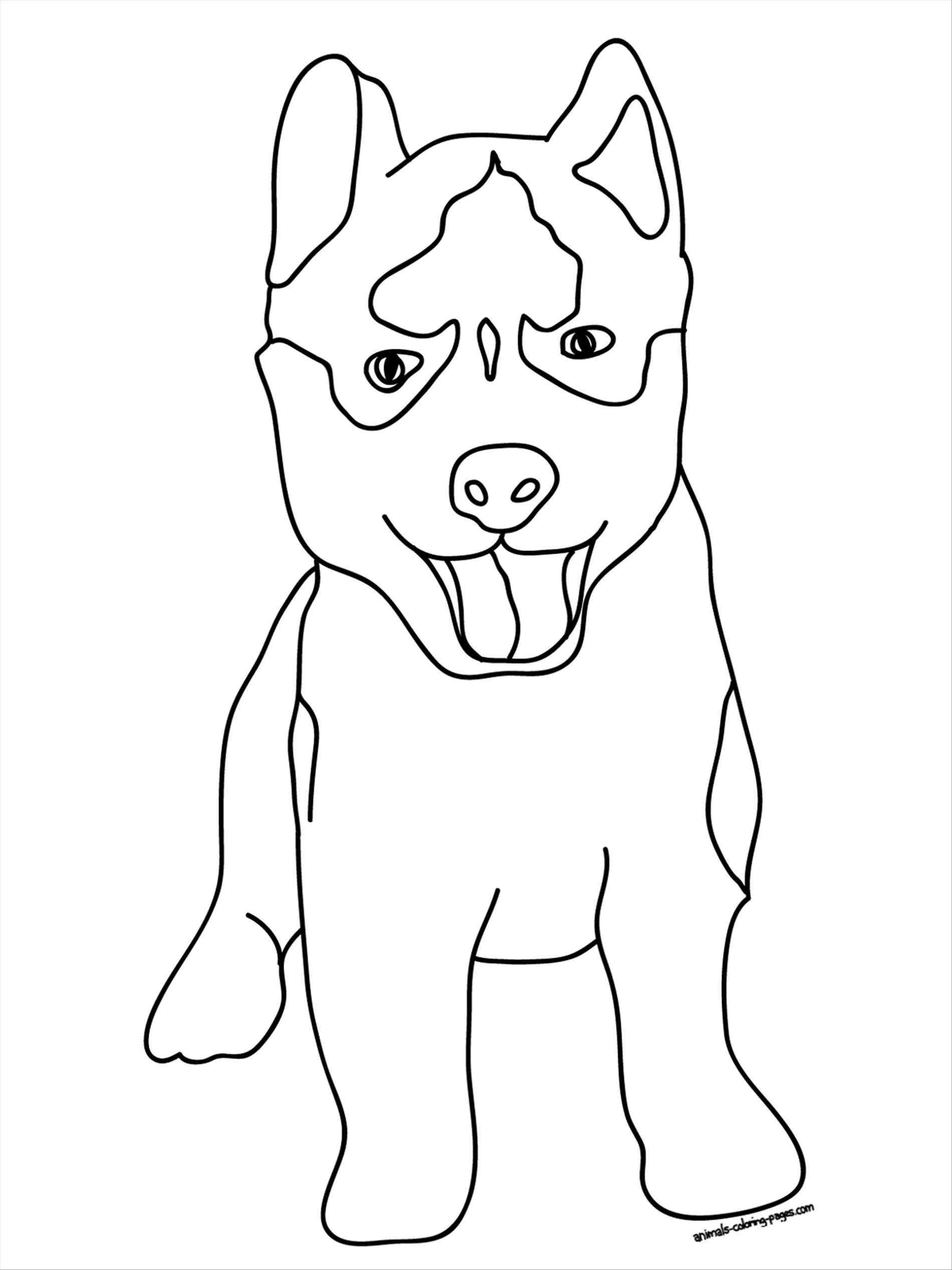 Shiba Inu Coloring Pages at GetColorings.com | Free printable colorings