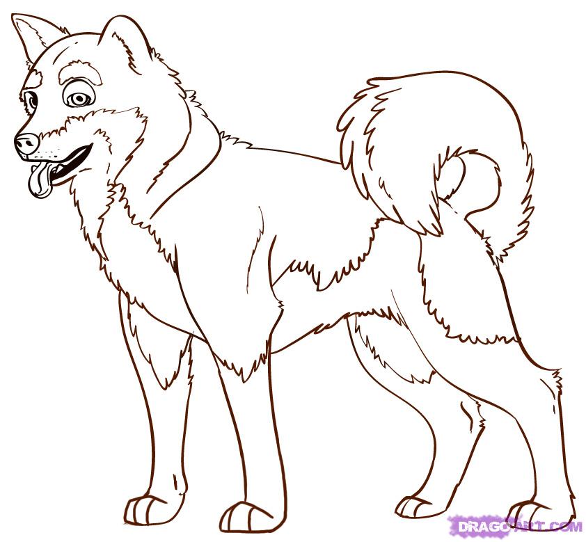 Shiba Inu Coloring Pages at GetColorings.com | Free printable colorings