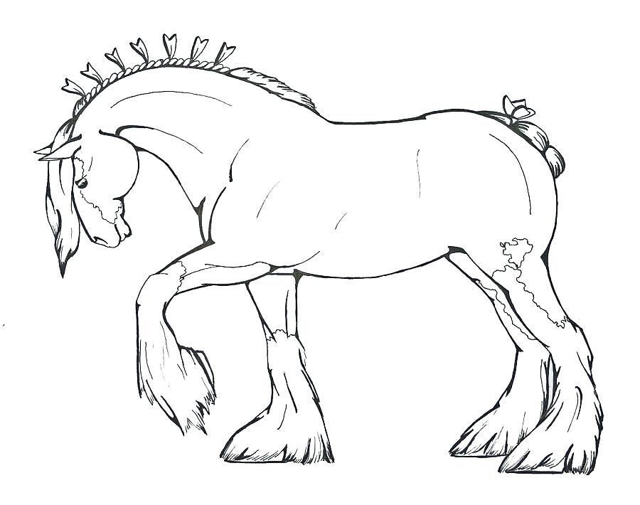 Shire Horse Coloring Pages at Free printable