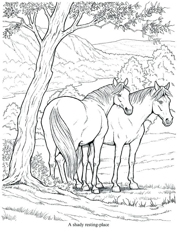 Show Horse Coloring Pages at GetColorings.com | Free printable