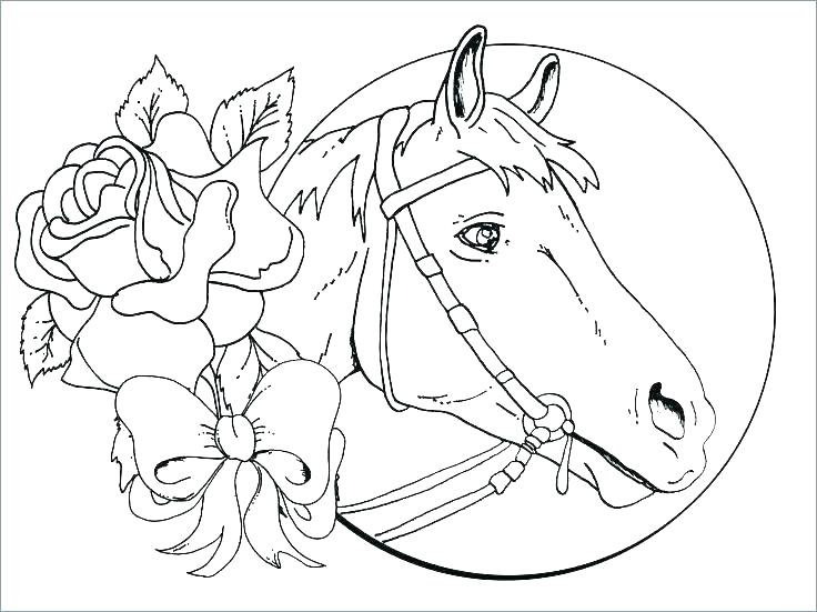 Show Jumping Coloring Pages at GetColorings.com | Free printable