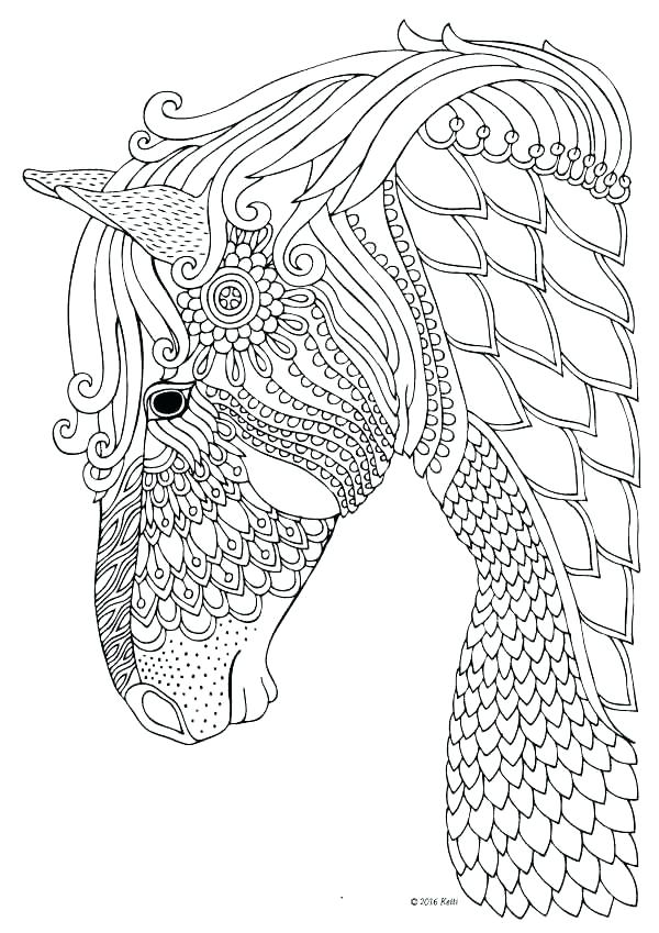 Show Jumping Horse Coloring Pages at GetColorings.com ...
