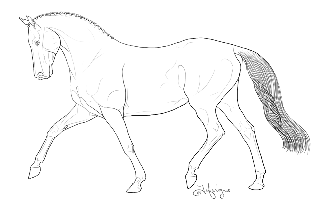 Show Jumping Horse Coloring Pages at GetColorings.com | Free printable