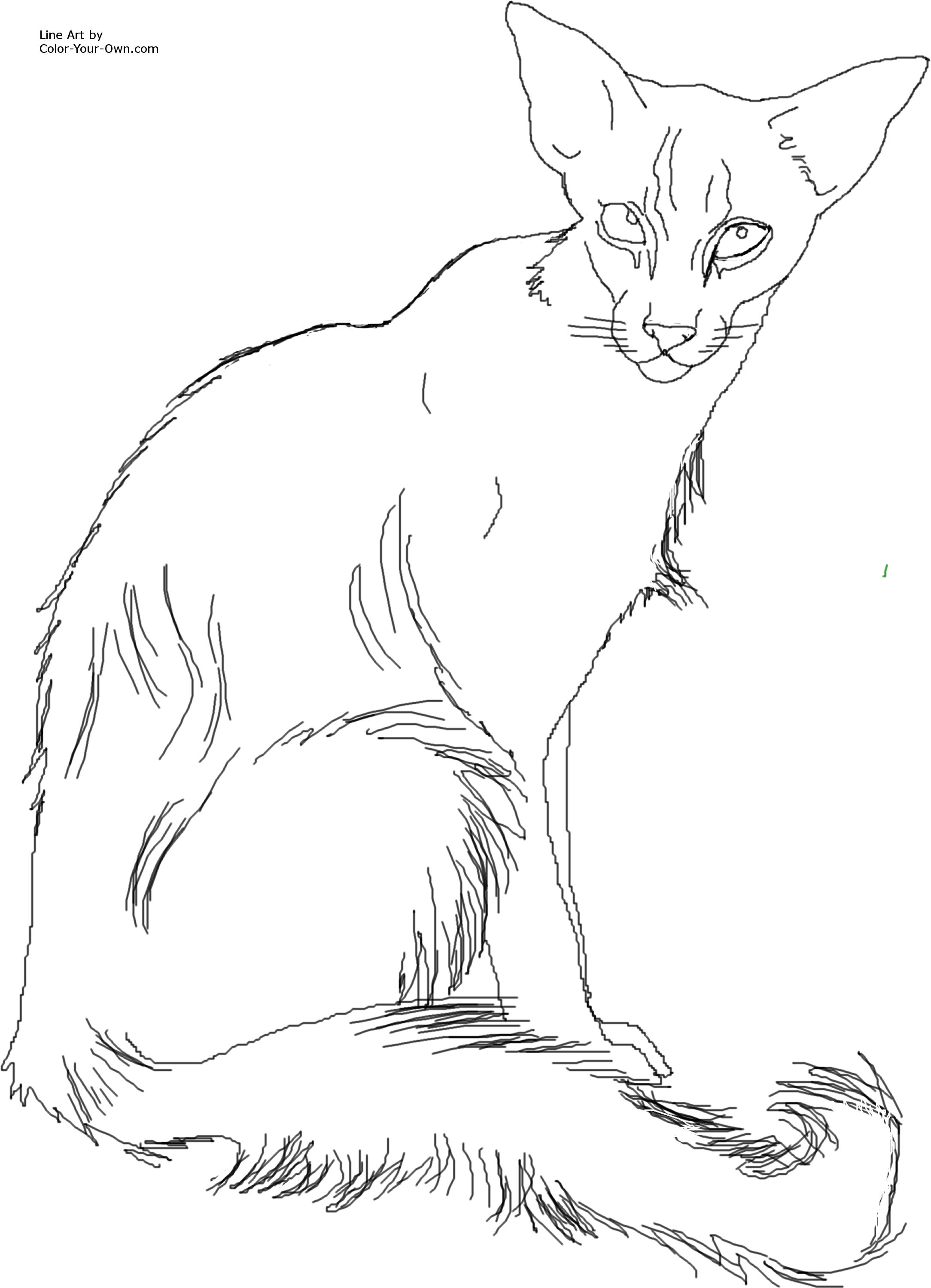 Siamese Cat Coloring Page at GetColorings.com | Free printable