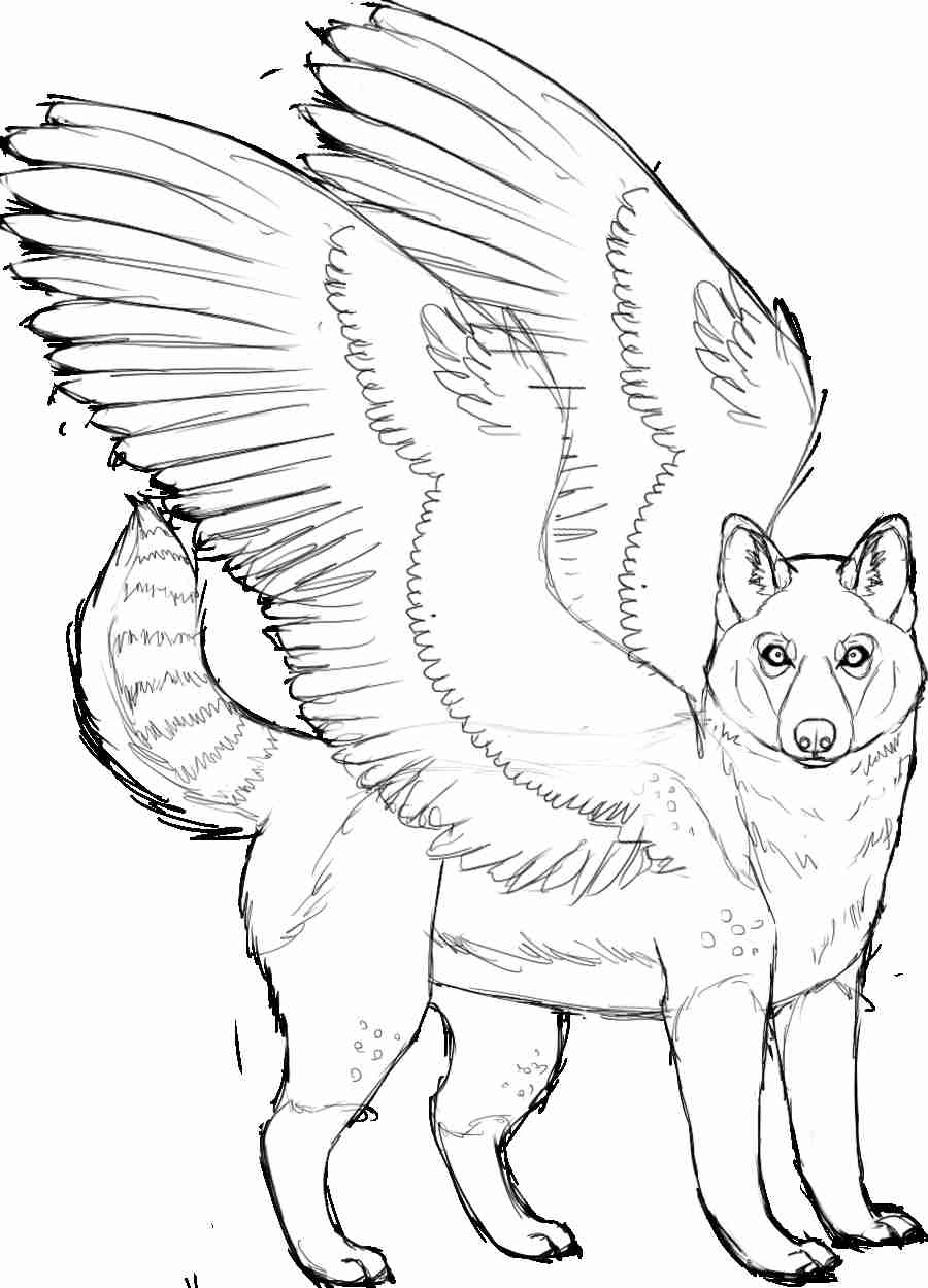 Siberian Husky Coloring Pages at Free