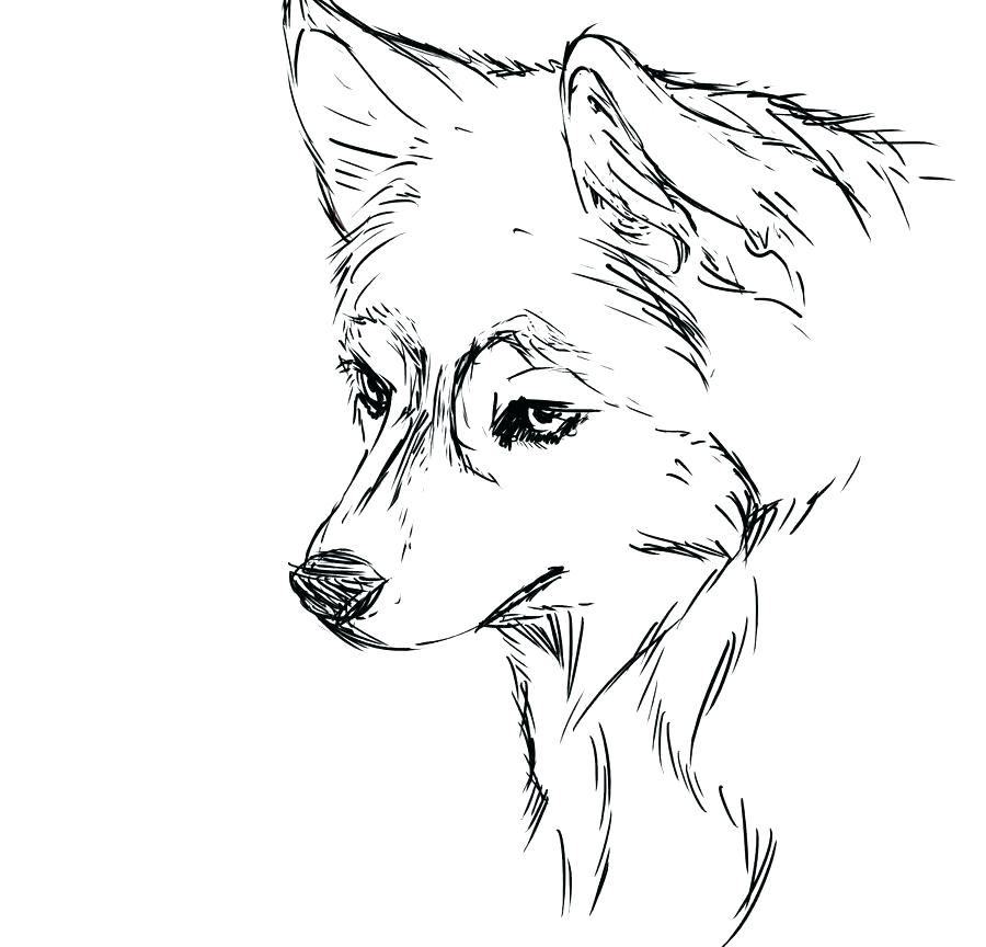 Printable Husky Coloring Pages