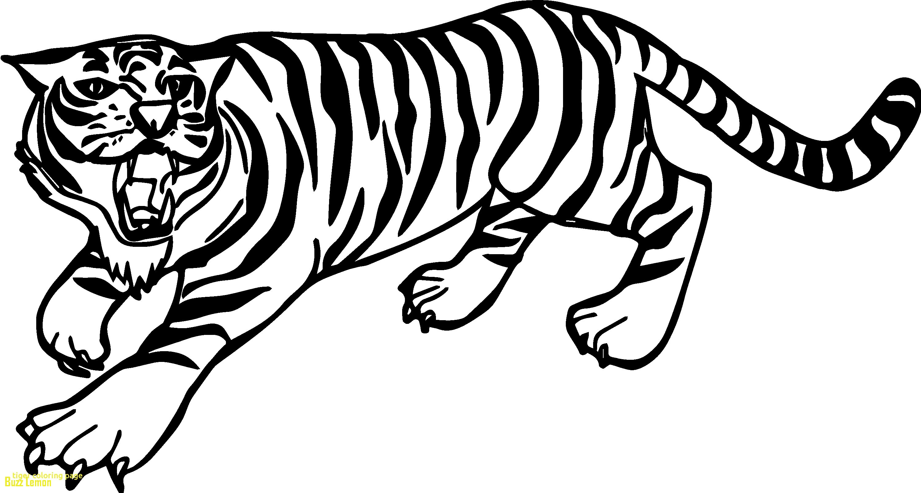 siberian-tiger-coloring-page-at-getcolorings-free-printable