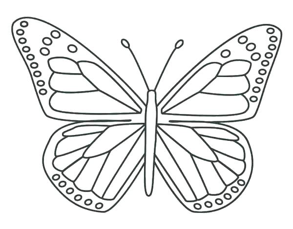 600x470 Coloring Page Of Butterfly Simple Pages