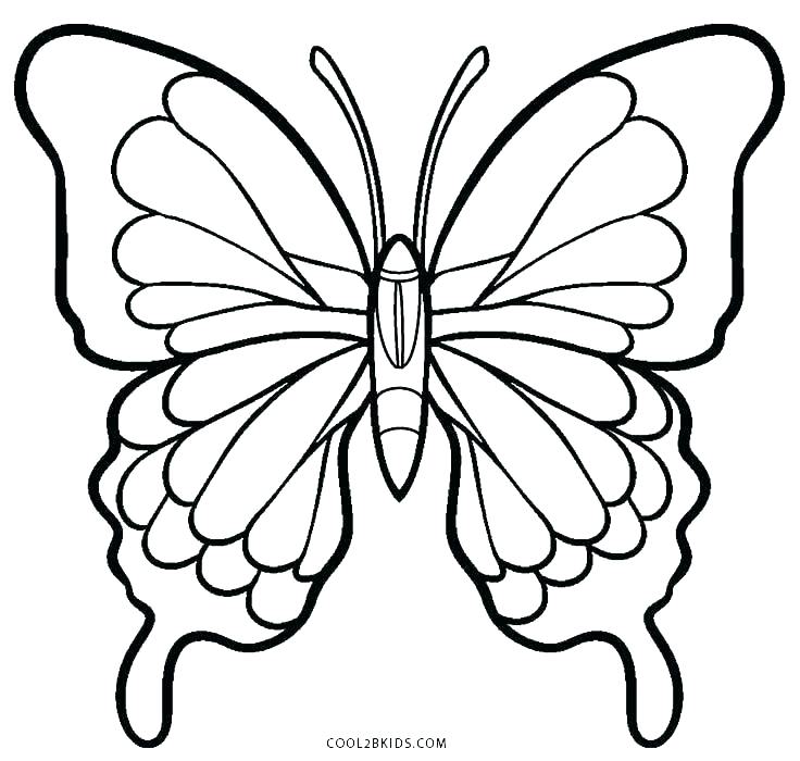 Simple Butterfly Coloring Page at GetColorings.com | Free printable